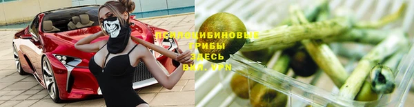 крисы Вяземский