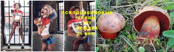 прущие крисы Волоколамск