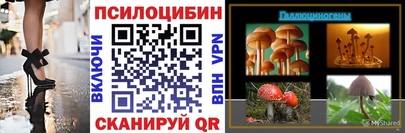 Галлюциногенные грибы прущие грибы  Звенигород 