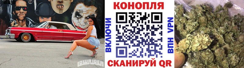 Конопля конопля  Звенигород 